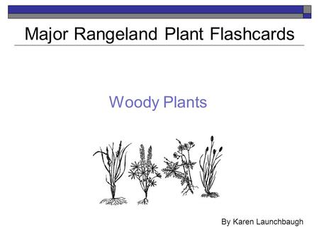 Woody Plants Major Rangeland Plant Flashcards By Karen Launchbaugh.