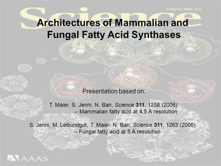 Architectures of Mammalian and Fungal Fatty Acid Synthases Presentation based on: T. Maier, S. Jenni, N. Ban, Science 311, 1258 (2006). -- Mammalian fatty.
