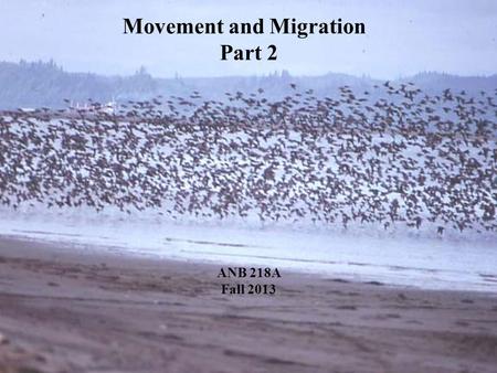 ANB 218A Fall 2013 Movement and Migration Part 2.