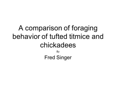 A comparison of foraging behavior of tufted titmice and chickadees By Fred Singer.