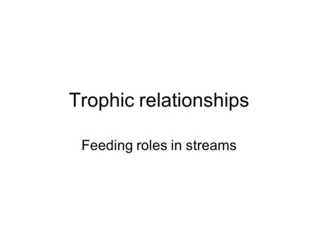 Trophic relationships Feeding roles in streams. Aquatic insects categorized: Food type and how food is obtained Feeding guilds = functional groups.
