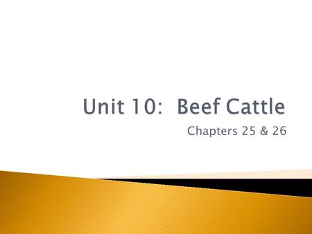 Unit 10: Beef Cattle Chapters 25 & 26.