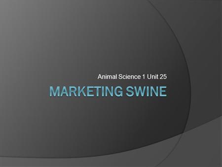 Animal Science 1 Unit 25. Objectives  Describe 3 methods of marketing hogs  List and describe the grades of market hogs  List and describe grades of.