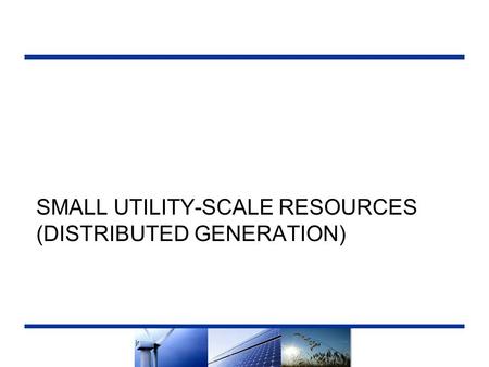 SMALL UTILITY-SCALE RESOURCES (DISTRIBUTED GENERATION) 1.