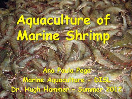 Aquaculture of Marine Shrimp