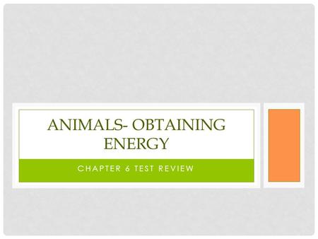 CHAPTER 6 TEST REVIEW ANIMALS- OBTAINING ENERGY. EXPLAIN THE DIFFERENCE BETWEEN THE TEETH OF... Carnivores Herbivores omnivores.
