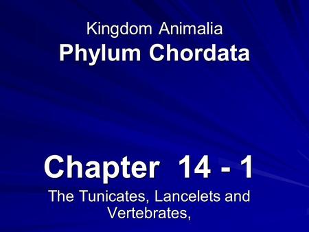 Kingdom Animalia Phylum Chordata Chapter 14 - 1 The Tunicates, Lancelets and Vertebrates,