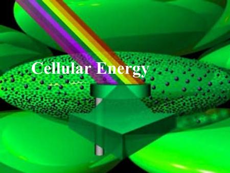 Cellular Energy. I. Energy for Living Things A. Organisms need energy to live B. Energy is the ability to do work.