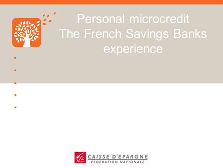 Personal microcredit The French Savings Banks experience.
