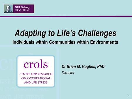 1 Adapting to Life’s Challenges Individuals within Communities within Environments Dr Brian M. Hughes, PhD Director.