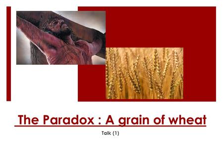 The Paradox : A grain of wheat Talk (1). A grain of Wheat  Most assuredly, I say to you, unless a grain of wheat falls into the ground and dies, it remains.