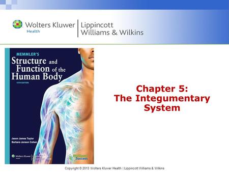 Copyright © 2013 Wolters Kluwer Health | Lippincott Williams & Wilkins Chapter 5: The Integumentary System.