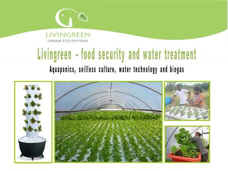 LivinGreen: table of contents LivinGreen vision What is aquaponics? Roof top and backyard systems 3rd world systems and projects Indoor systems Educational.