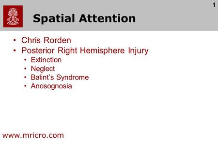 1 Spatial Attention Chris Rorden Posterior Right Hemisphere Injury Extinction Neglect Balint’s Syndrome Anosognosia www.mricro.com.
