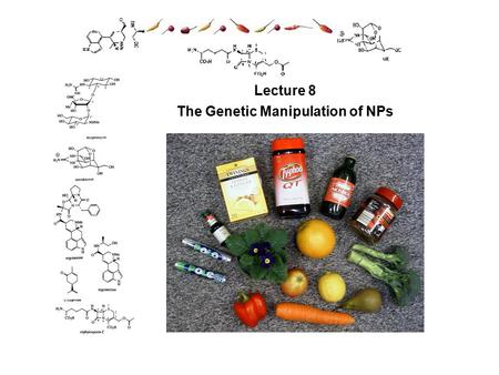 Lecture 8 The Genetic Manipulation of NPs. Learning Outcomes Genetic manipulation of NP metabolism Why one might want to manipulate NPs composition? What.