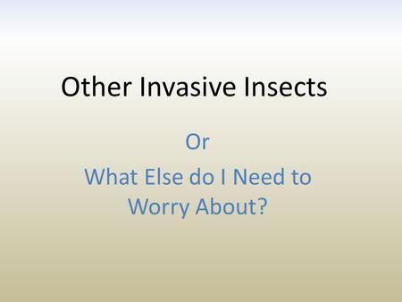 Other Invasive Insects Or What Else do I Need to Worry About?