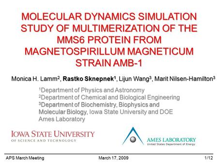 MOLECULAR DYNAMICS SIMULATION STUDY OF MULTIMERIZATION OF THE MMS6 PROTEIN FROM MAGNETOSPIRILLUM MAGNETICUM STRAIN AMB-1 APS March Meeting March 17, 2009.