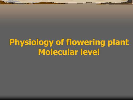 Physiology of flowering plant Molecular level. Molecular studies on flowering crops Basic knowledge genes, gene expression profile control of gene expression.