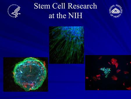 Stem Cell Research at the NIH. What are the unique properties that make human embryonic stem cells (hESCs) special? hESCs have an unlimited capacity for.
