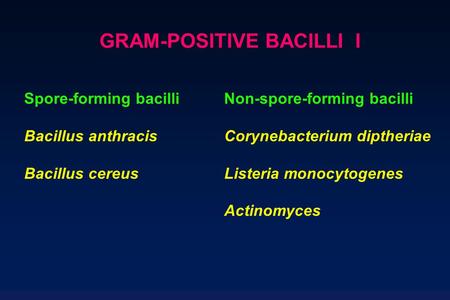 GRAM-POSITIVE BACILLI I Spore-forming bacilliNon-spore-forming bacilli Bacillus anthracisCorynebacterium diptheriae Bacillus cereusListeria monocytogenes.