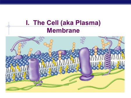 I. The Cell (aka Plasma) Membrane Overview  Cell membrane separates living cell from nonliving surroundings  Controls traffic in & out of the cell.