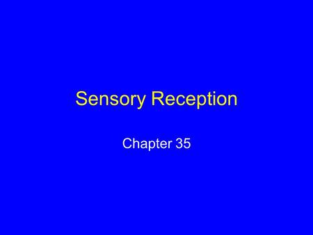 Sensory Reception Chapter 35. Sensory Systems The means by which organisms receive signals from the external world and internal environment Many animals.
