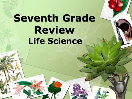 Seventh Grade Review Life Science. Living organisms require food, water, shelter, energy, and space to survive.