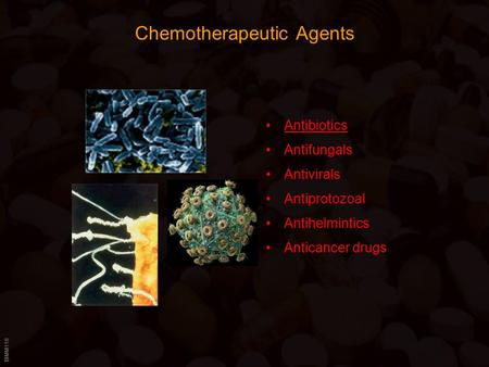 BIMM118 Chemotherapeutic Agents Antibiotics Antifungals Antivirals Antiprotozoal Antihelmintics Anticancer drugs.