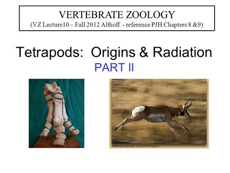 Tetrapods: Origins & Radiation PART II VERTEBRATE ZOOLOGY (VZ Lecture10 – Fall 2012 Althoff - reference PJH Chapters 8 &9)