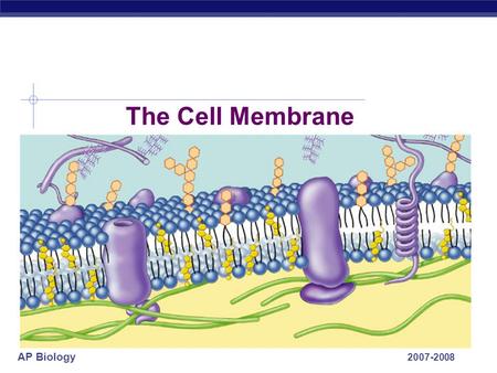 AP Biology 2007-2008 The Cell Membrane AP Biology 2 The Structure of A Cell  ALL cells have a cell membrane  A thin, flexible barrier around the cell.