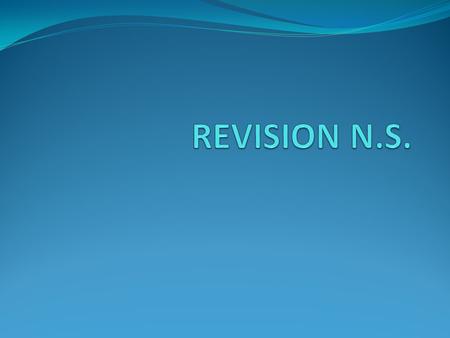 REVISION N.S..
