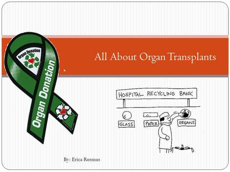 All About Organ Transplants By: Erica Rosmus. Background: The Immune System Cells, tissues, and organs that work to keep foreign invaders away Leukocytes.