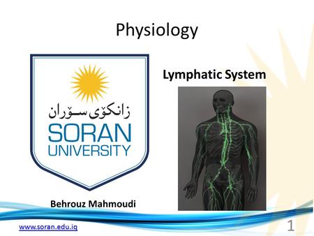 Www.soran.edu.iq Physiology Behrouz Mahmoudi Lymphatic System 1.