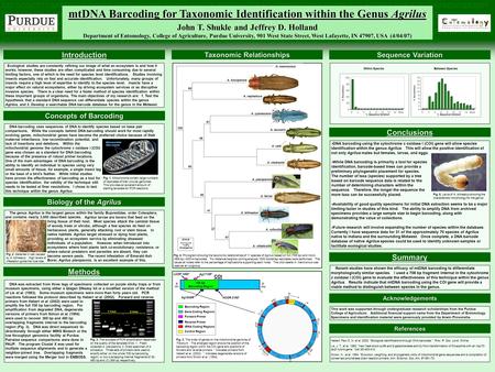  DNA barcoding using the cytochrome c oxidase I (COI) gene will allow species identification within the genus Agrilus. This will allow the positive identification.