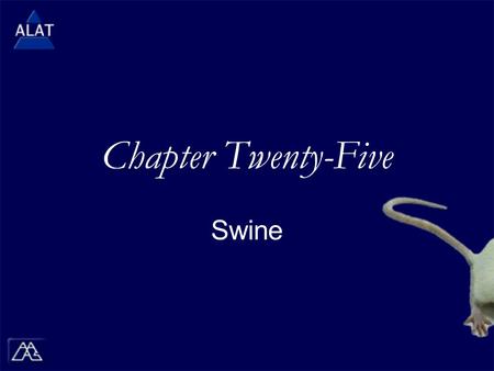 Chapter Twenty-Five Swine.  If viewing this in PowerPoint, use the icon to run the show (bottom left of screen).  Mac users go to “Slide Show > View.