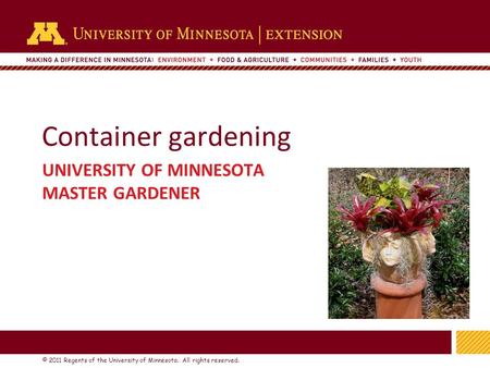 1 © 2011 Regents of the University of Minnesota. All rights reserved. 11 Container gardening UNIVERSITY OF MINNESOTA MASTER GARDENER.