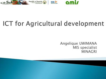 Angelique UWIMANA MIS specialist MINAGRI. AMIS  Agricultural Management Information system  Contain information relation to: ◦ Agricultural extension.