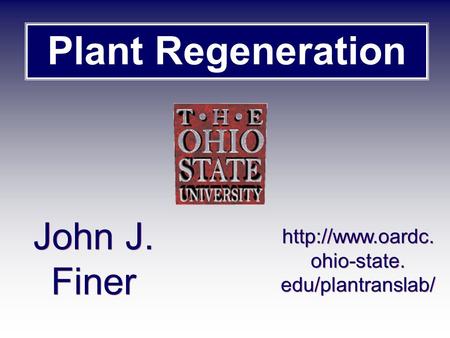 Plant Regeneration John J. Finer  ohio-state. edu/plantranslab/