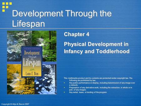 Copyright © Allyn & Bacon 2007 Development Through the Lifespan Chapter 4 Physical Development in Infancy and Toddlerhood This multimedia product and its.