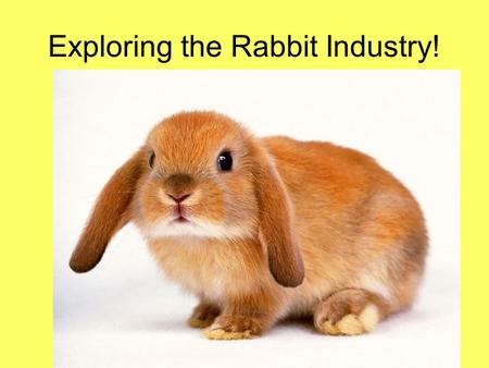 Exploring the Rabbit Industry!. Next Generation Science/Common Core Standards Addressed! RST.11 ‐ 12.7 Integrate and evaluate multiple sources of information.