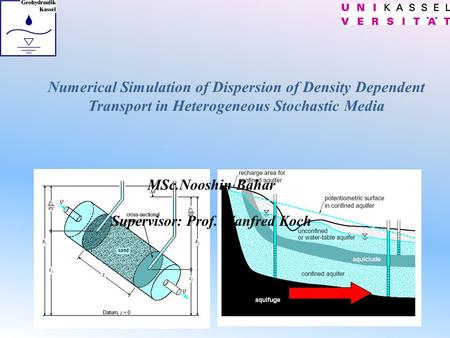 Numerical Simulation of Dispersion of Density Dependent Transport in Heterogeneous Stochastic Media MSc.Nooshin Bahar Supervisor: Prof. Manfred Koch.