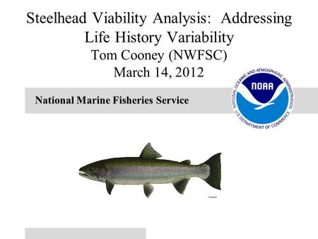 National Marine Fisheries Service Steelhead Viability Analysis: Addressing Life History Variability Tom Cooney (NWFSC) March 14, 2012.