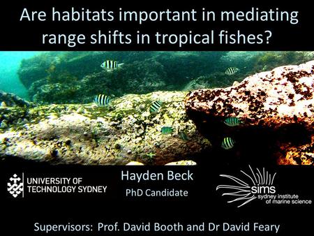 Are habitats important in mediating range shifts in tropical fishes? Hayden Beck PhD Candidate Supervisors: Prof. David Booth and Dr David Feary.