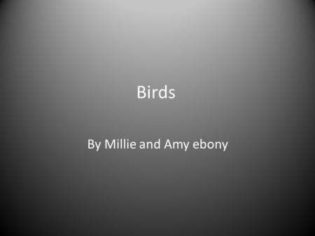 Birds By Millie and Amy ebony. Video of birds flying and eating.