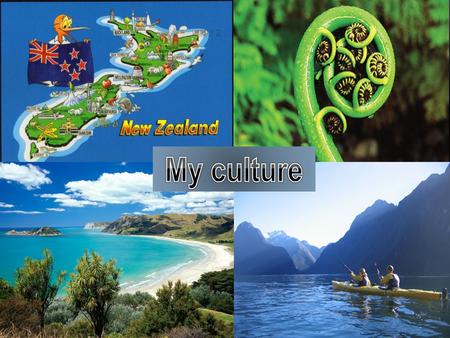 Rotorua is the best place in the world to travel because. It has allot of tourist attractions in rotorua to look and explore new things.