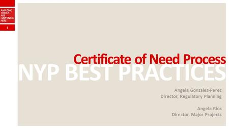 NYP BEST PRACTICES Certificate of Need Process Angela Gonzalez-Perez