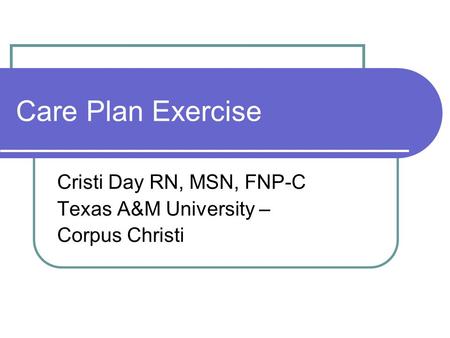 Care Plan Exercise Cristi Day RN, MSN, FNP-C Texas A&M University – Corpus Christi.