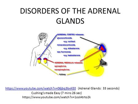 DISORDERS OF THE ADRENAL GLANDS https://www.youtube.com/watch?v=06jbq3bxKE0 (Adrenal Glands: 33 seconds)https://www.youtube.com/watch?v=06jbq3bxKE0 Cushing’s.