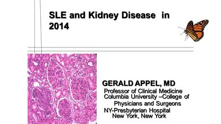 SLE and Kidney Disease in 2014 GERALD APPEL, MD GERALD APPEL, MD Professor of Clinical Medicine Columbia University –College of Professor of Clinical Medicine.
