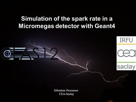 Simulation of the spark rate in a Micromegas detector with Geant4 Sébastien Procureur CEA-Saclay.